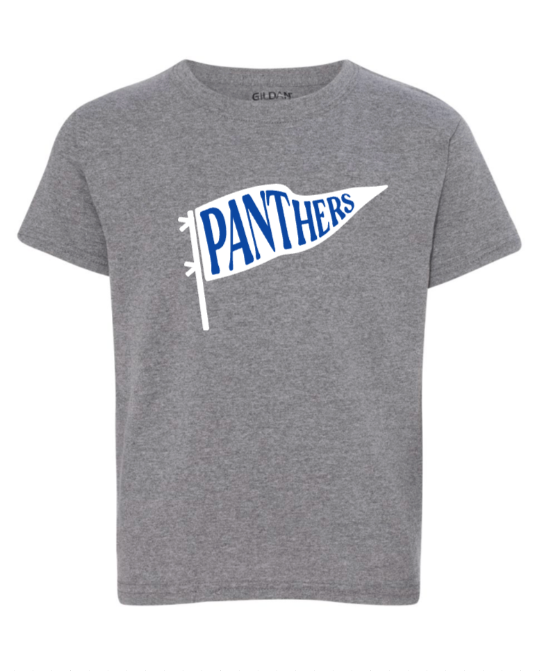 Panthers Flag Tee