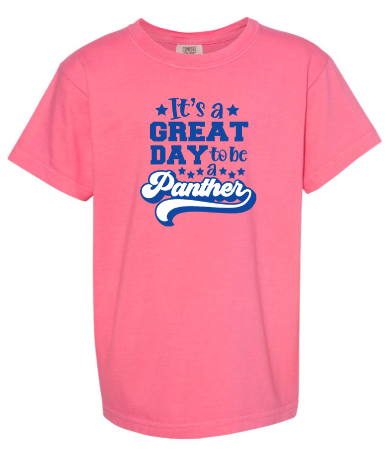 Panthers Comfort Colors Great Day Tee